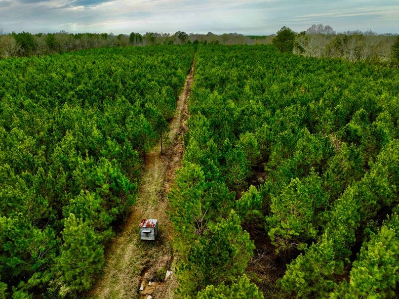 B30B64D0-850C-47FD-8152-226E277AFAA0_1_105_c