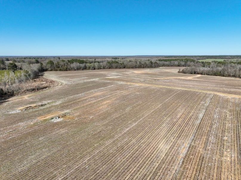 dji_fly_20260115_144654_147_1768506992027_photo