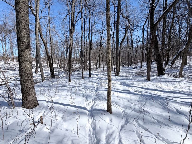 2.Copy of Tract 5 S Edge Large