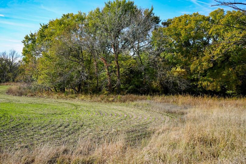 Dickinson Co, 154.5_050