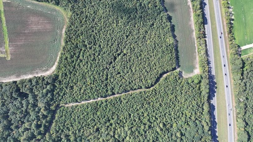 DJI_20250911024254_0321_D