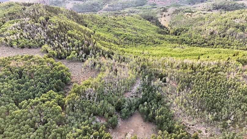 DJI_20250726191044_0306_D