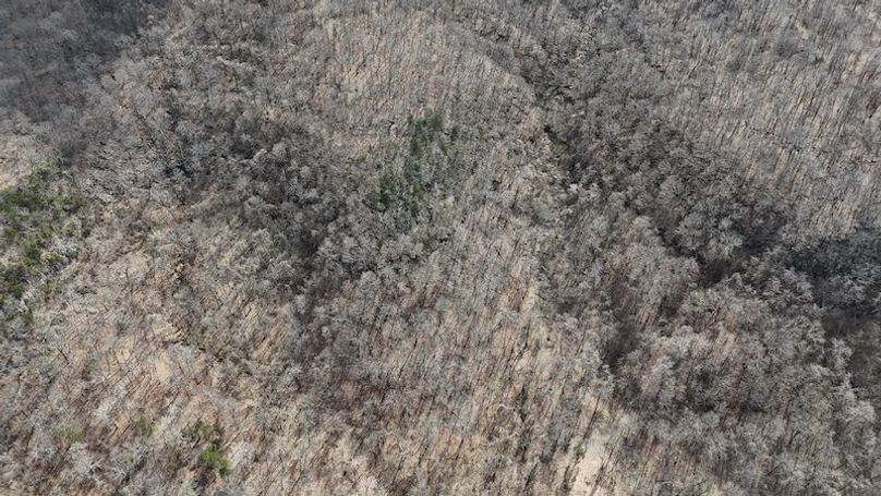 stone8020260307_0055