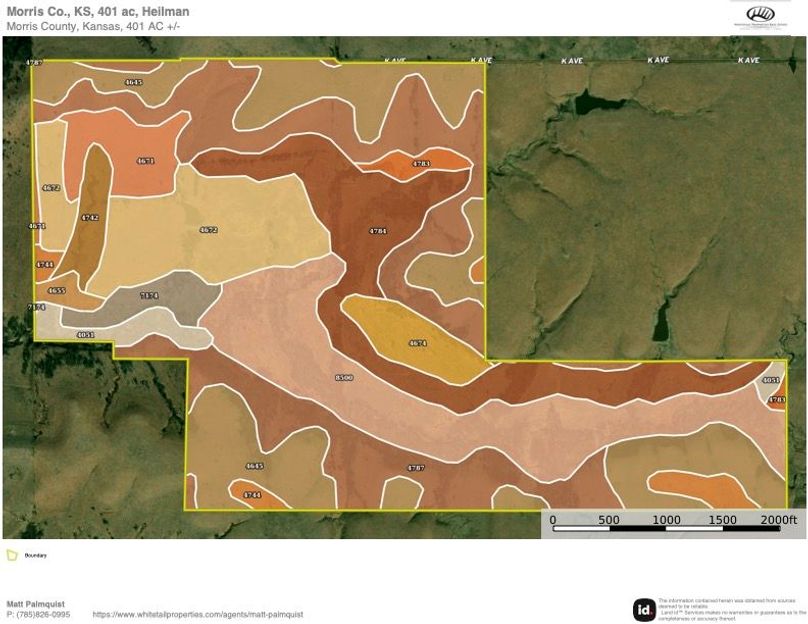 Morris 401 Soils copy