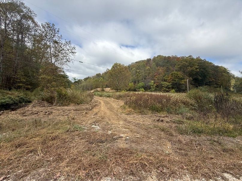 011 the drive leading up to the building spot in the north tract