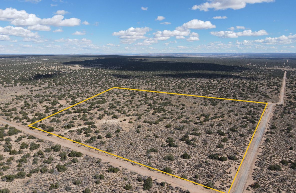 pic1.dji_fly_20231028_115646_230_1698519421585_photo