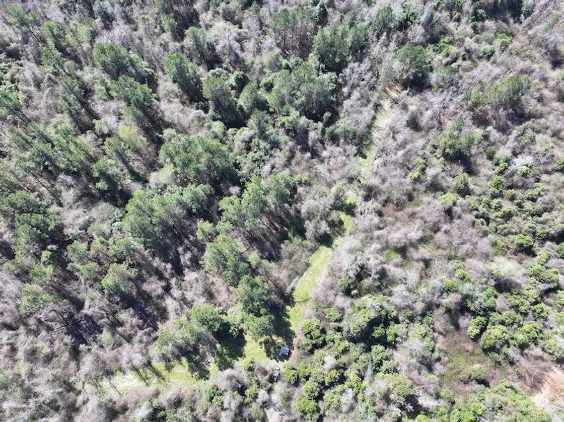 dji_fly_20260224_111626_0313_1772209054343_photo