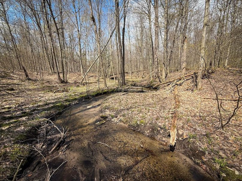 Cayuga_23.5_Demott_photos_18