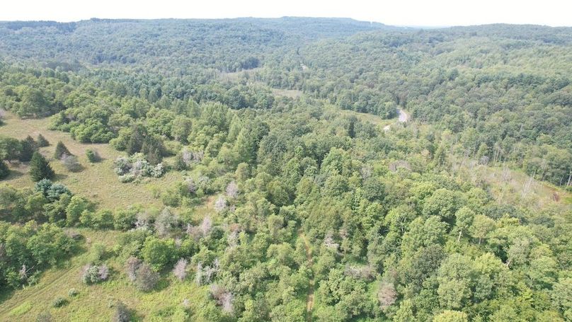 dji_fly_20250804_153134_488_1754355821548_photo