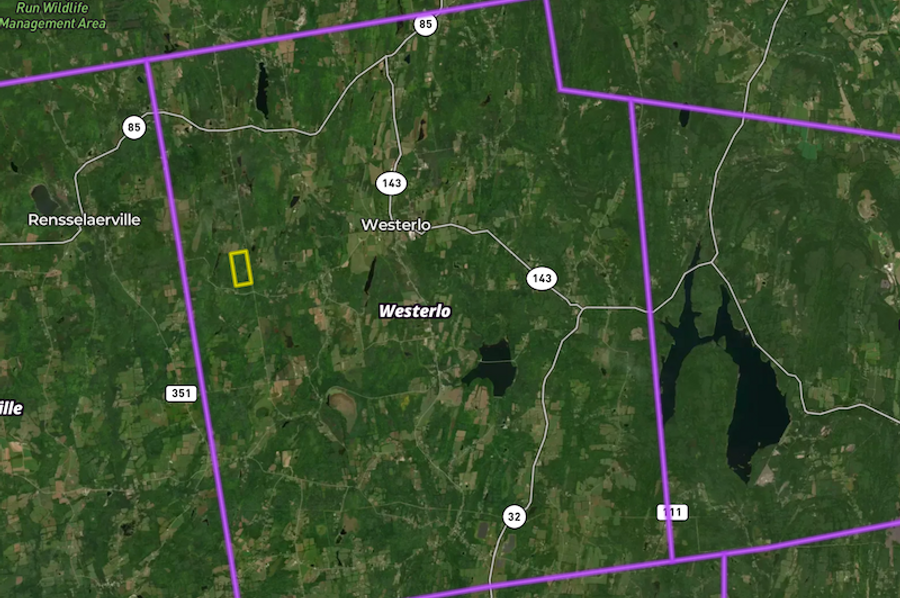 Albany co 74.4 Rollins Town map