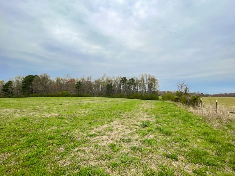 C59AFD95-5A9B-409C-9EE1-17104CAC8904