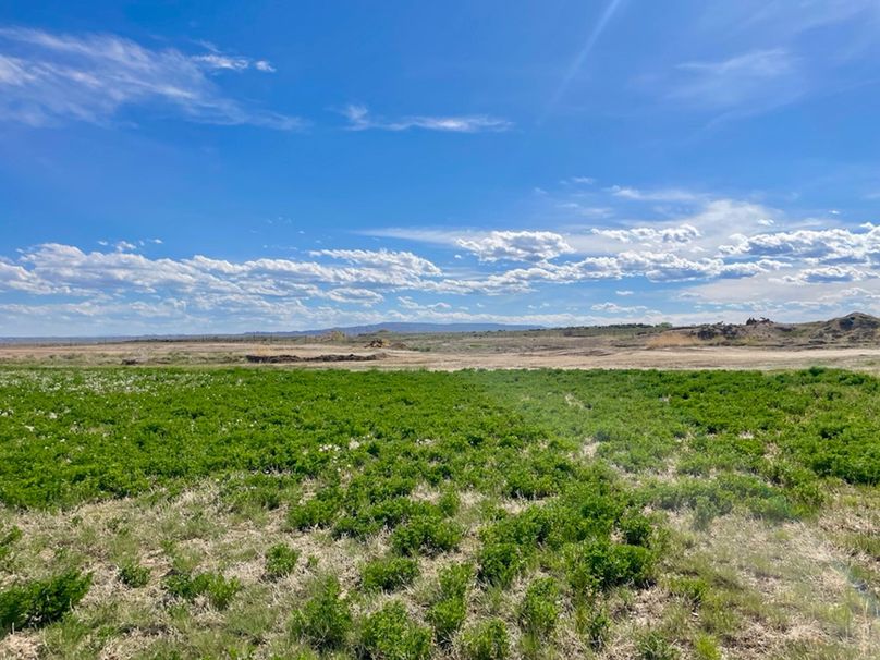 64C9C7FA-B56B-430C-A735-E50C604A0DD3_1_105_c