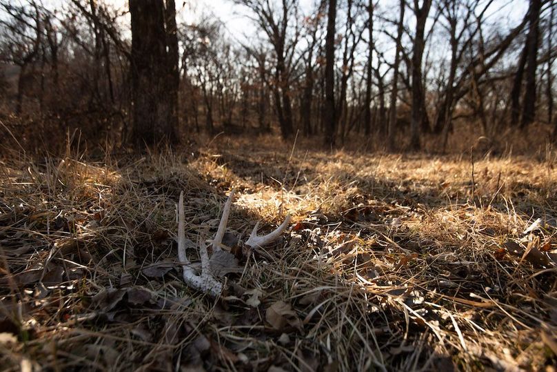 WORTH CO MO 537.44_11