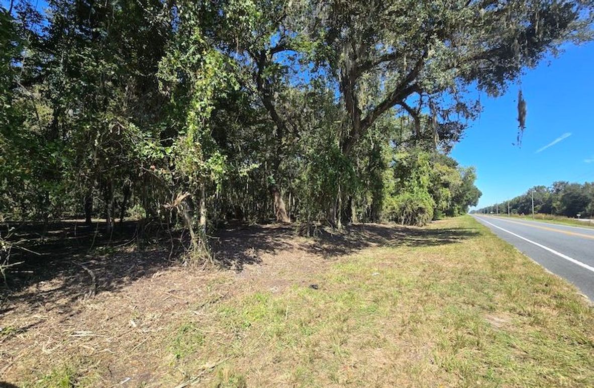 7.8ac, Citrus, Andrew Goering03