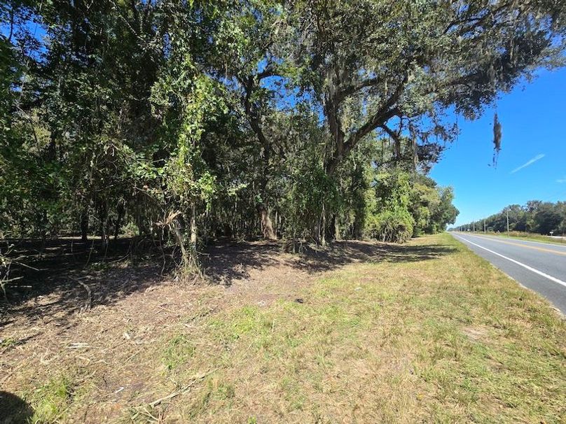 7.8ac, Citrus, Andrew Goering03