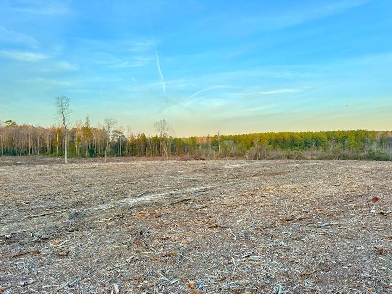 F01DEE41-75E0-4A22-B70B-1A9129F0161C