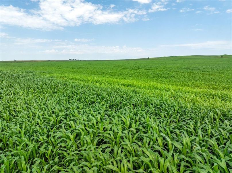 22-Cundy Property-12