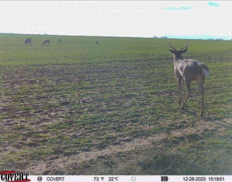 Screenshot_20231228_154432_CovertWireless