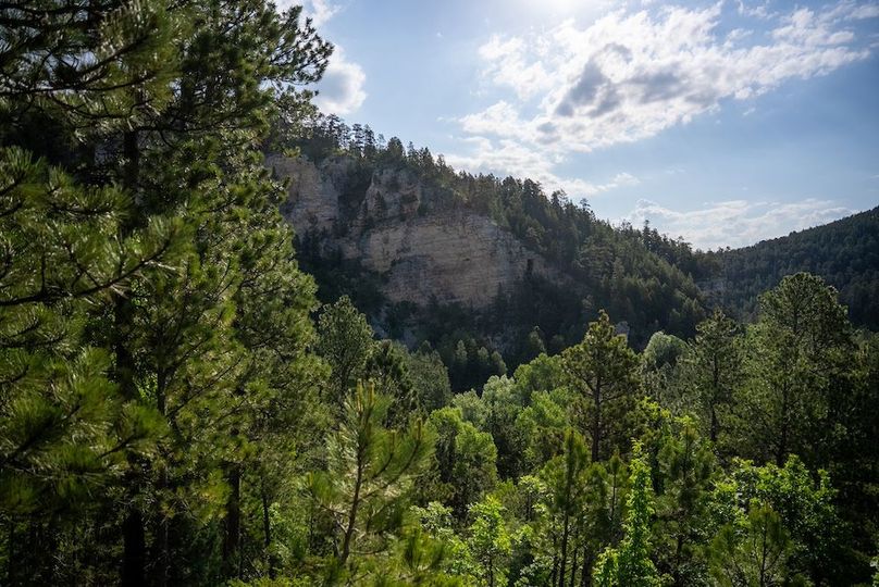 Lawrence SD 50 Featured_ProPhoto-2