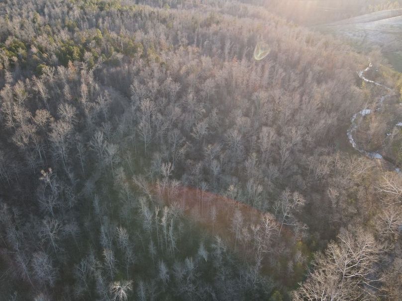 DJI_0310