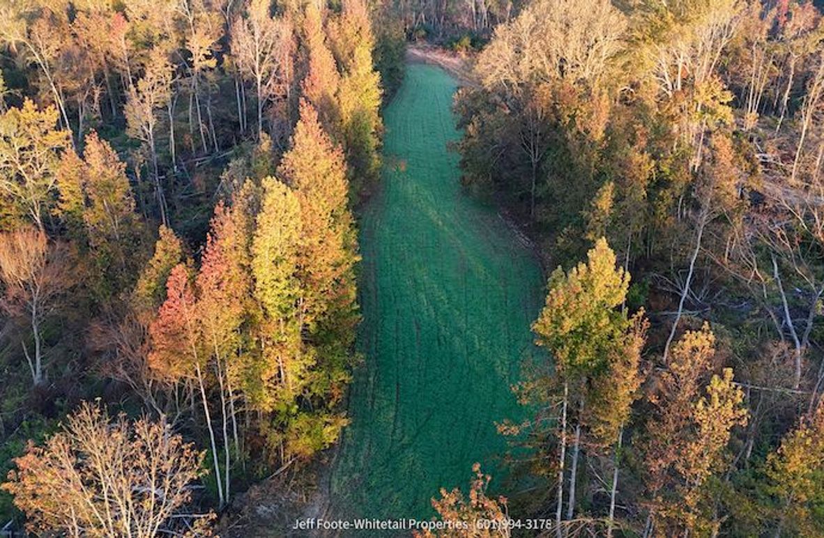 Claiborne Co-151-Geronimo-01