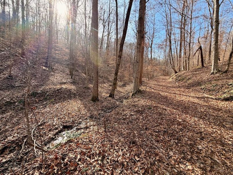 Roane Co TN 396 20251127_84