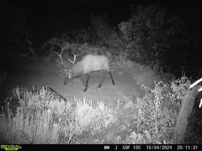 860516060007964-100-2-10042024201130-V-W1003648