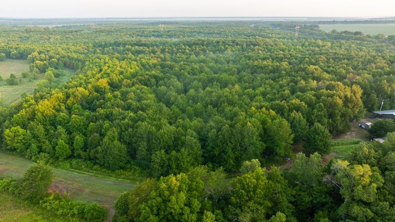 MadisonParLa1372-105