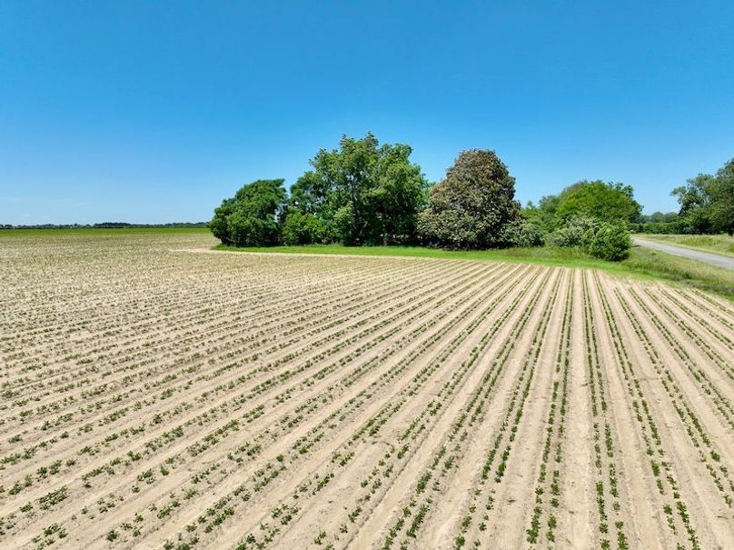 dji_fly_20250521_144944_897_1747853586547_photo