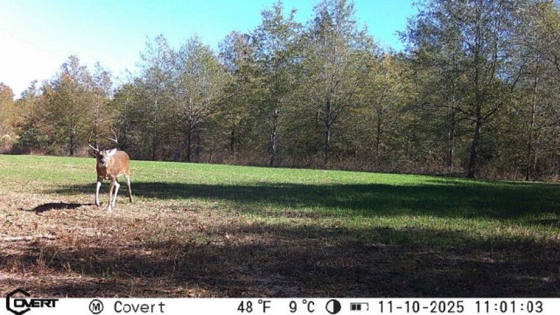 11_10_2025_11_01_02_3246828382