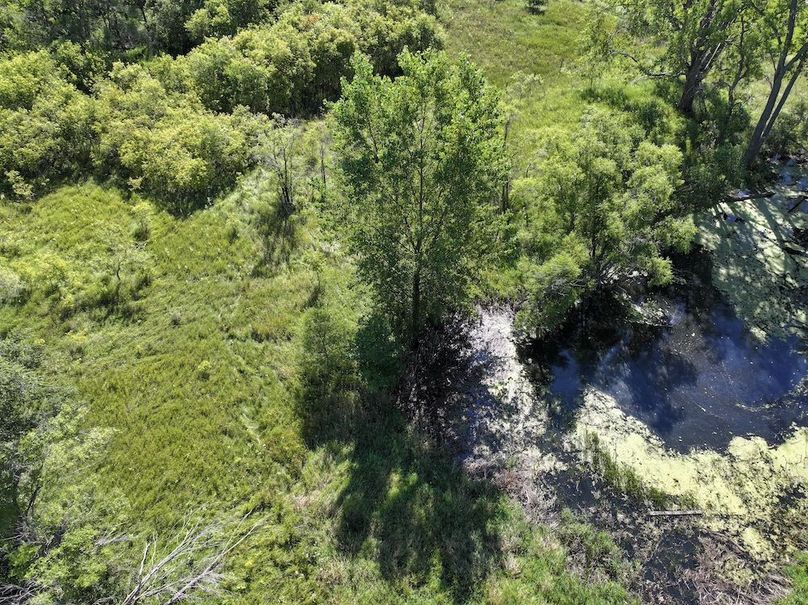 DJI_20250722151937_0681_D