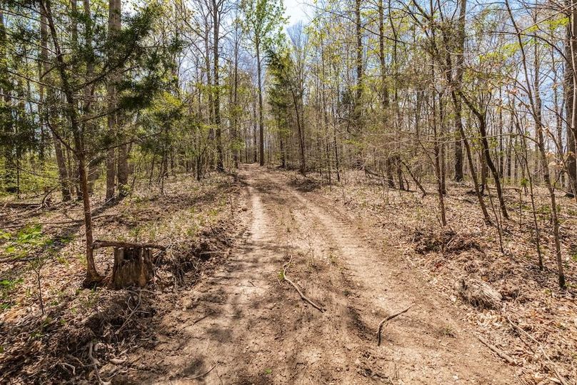 77-web-or-mls-0 Mound Creek Rd-47