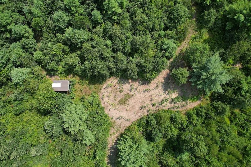 dji_fly_20250805_150626_209_1754424620129_photo