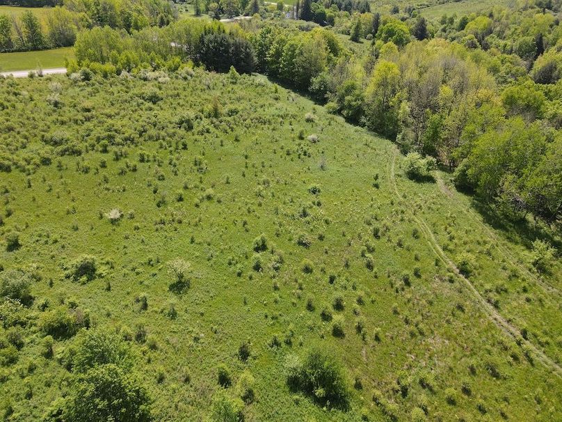 DJI_0421