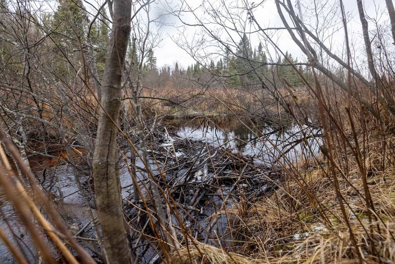 Mackinac 31.5 Noteboom-1647