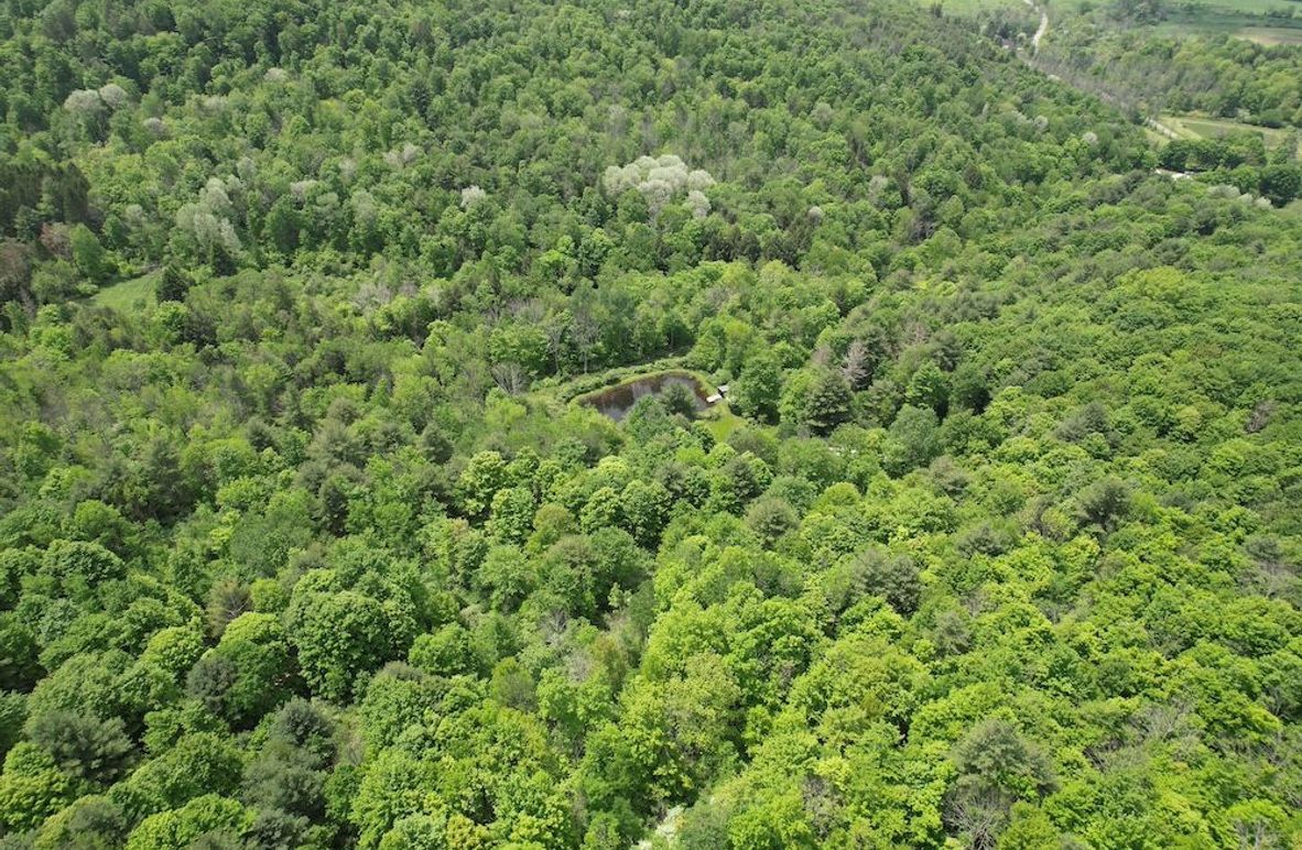 Tioga_78_Biada_Photos_4