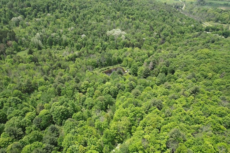 Tioga_78_Biada_Photos_4