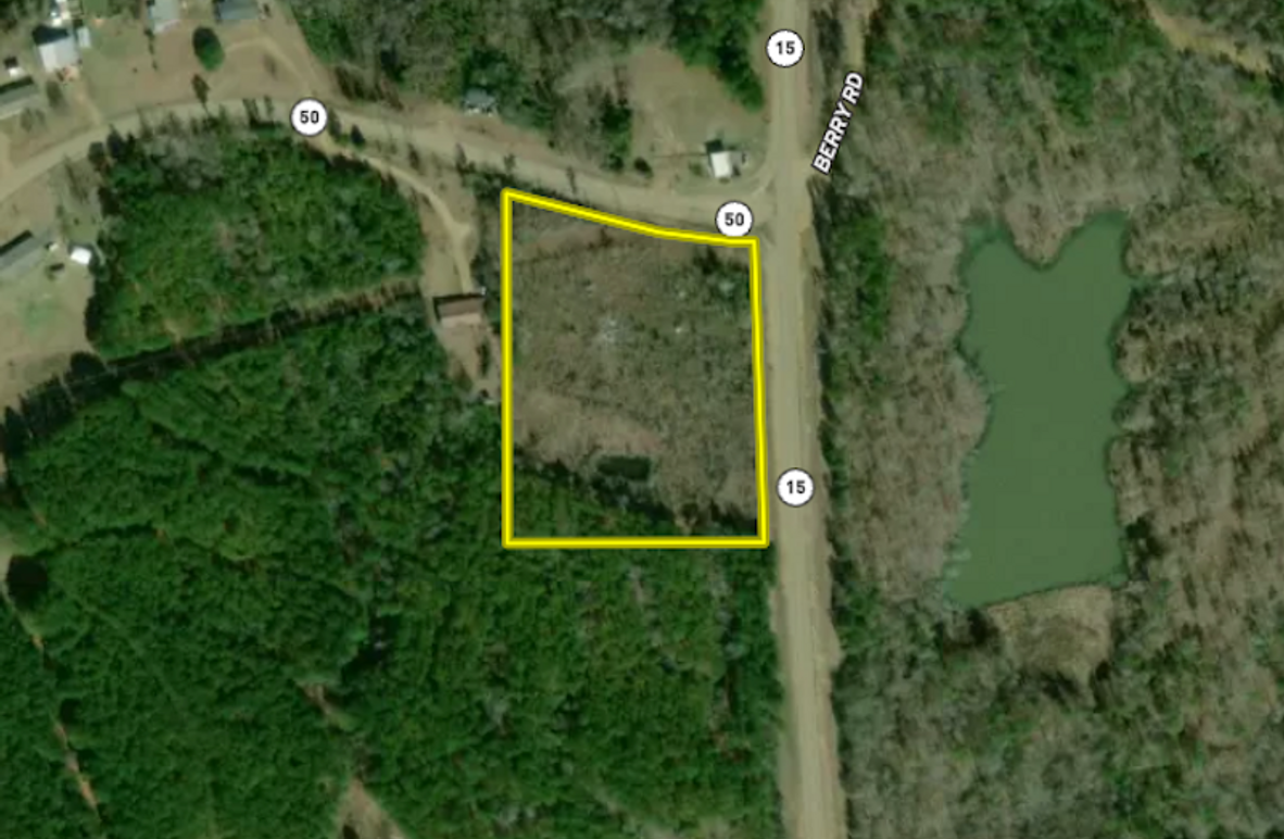 Screenshot 2025-12-16 at 12.59.57 PM