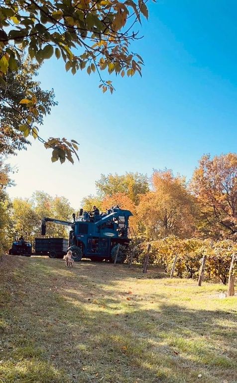 IMG_20260302_152926 (7)