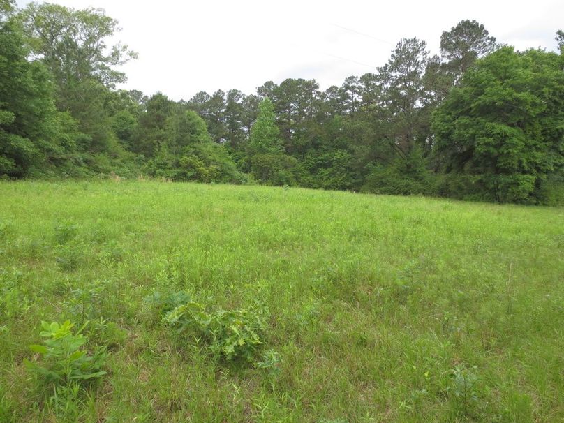 8DB0BD13-A5D4-4585-9F97-D2C311948CEE_1_105_c