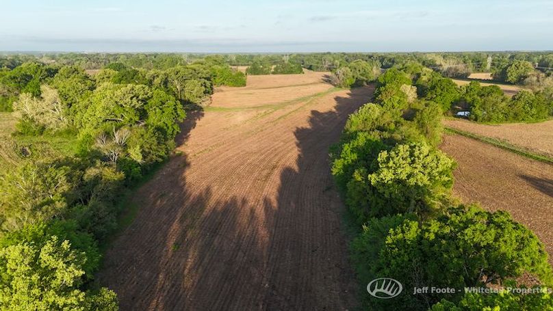 Madison Co - 207.26 - Hardy-22