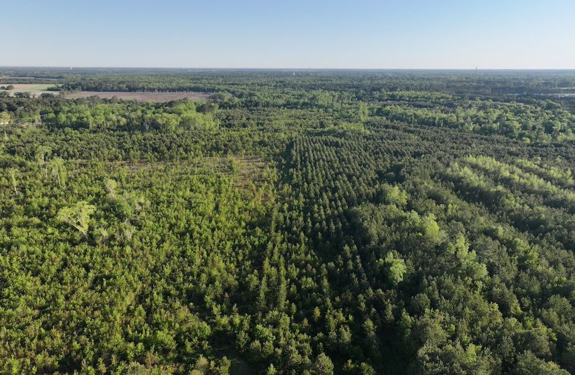 DJI_20250417072748_0001_D