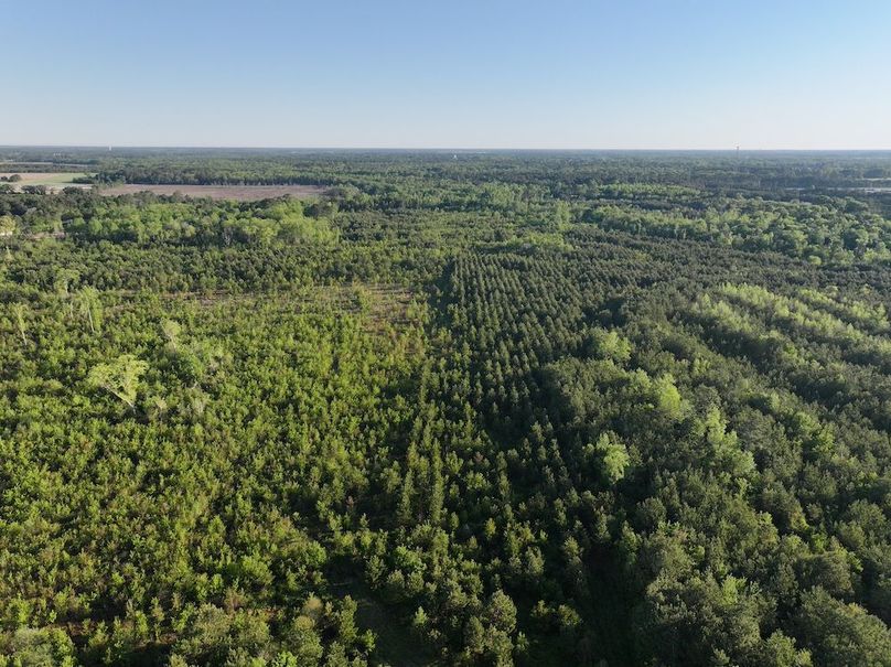 DJI_20250417072748_0001_D
