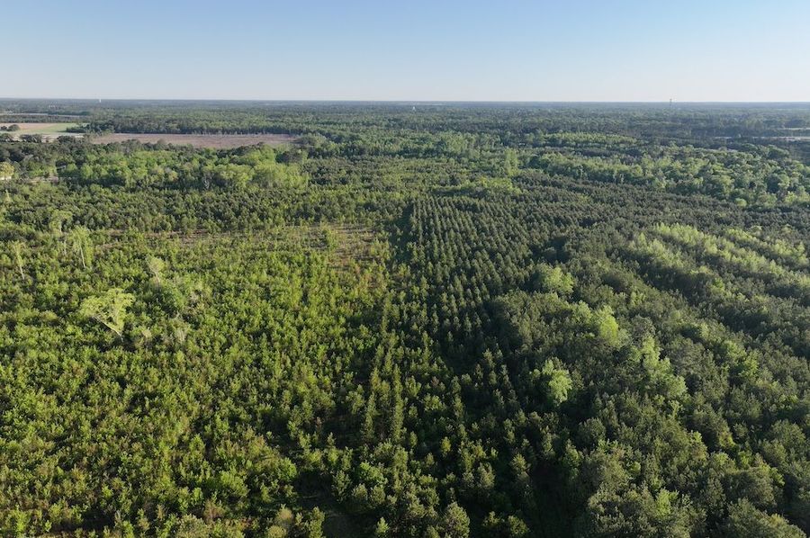 DJI_20250417072748_0001_D