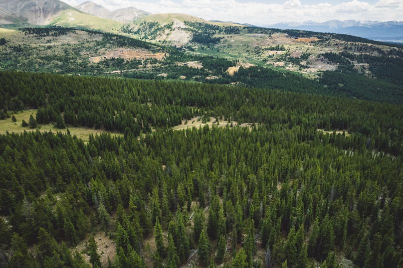 Lake CO 41.32 Nolan - 014 Upper parcel view