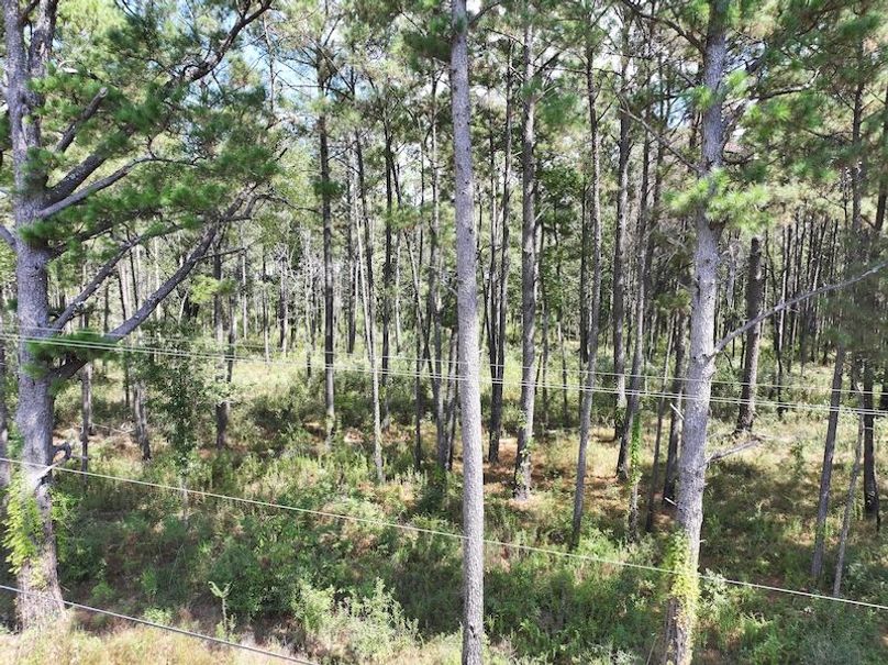 dji_fly_20250929_133840_0581_1759177331431_photo