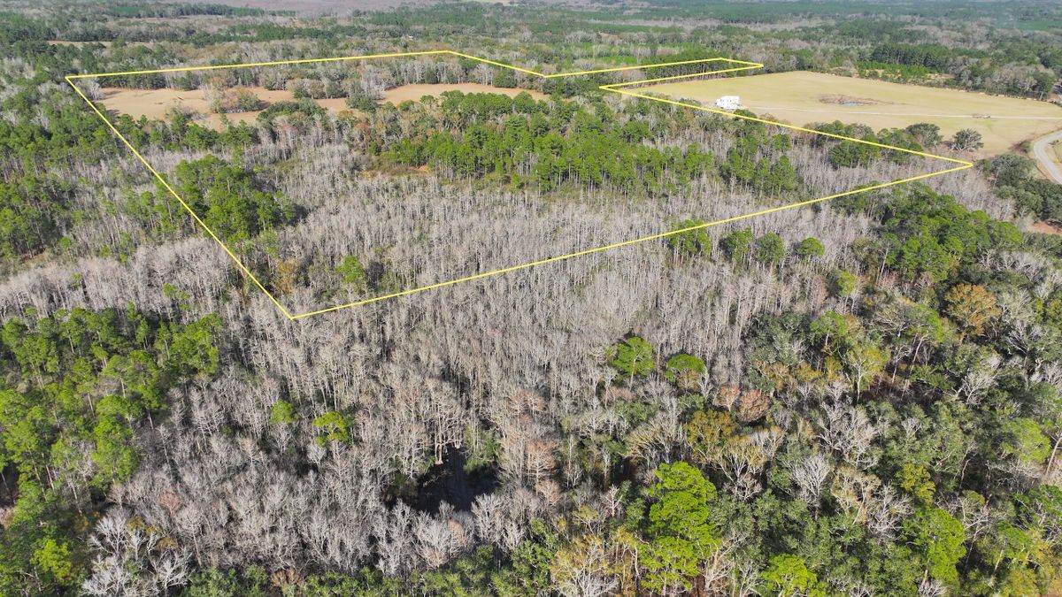 Recreational And Pasture Land For Sale Near Vernon Whitetail Properties