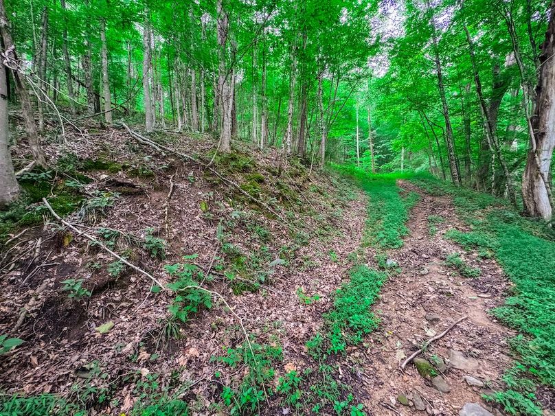 Doddridge, WV 15.68 AC Bonnett-65