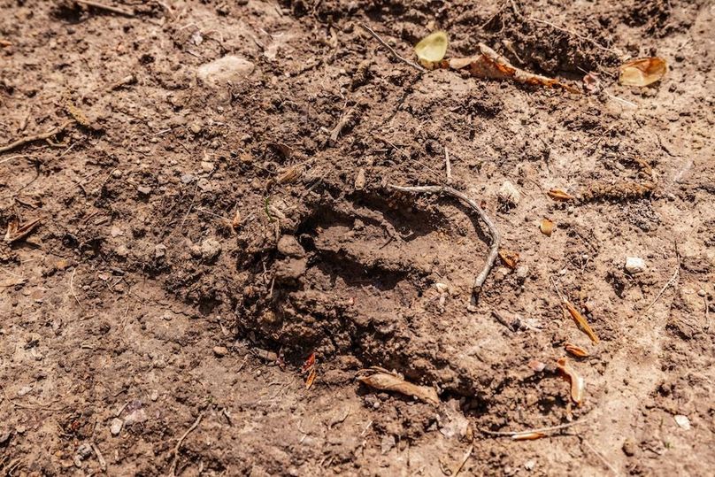 67-web-or-mls-0 Mound Creek Rd-37