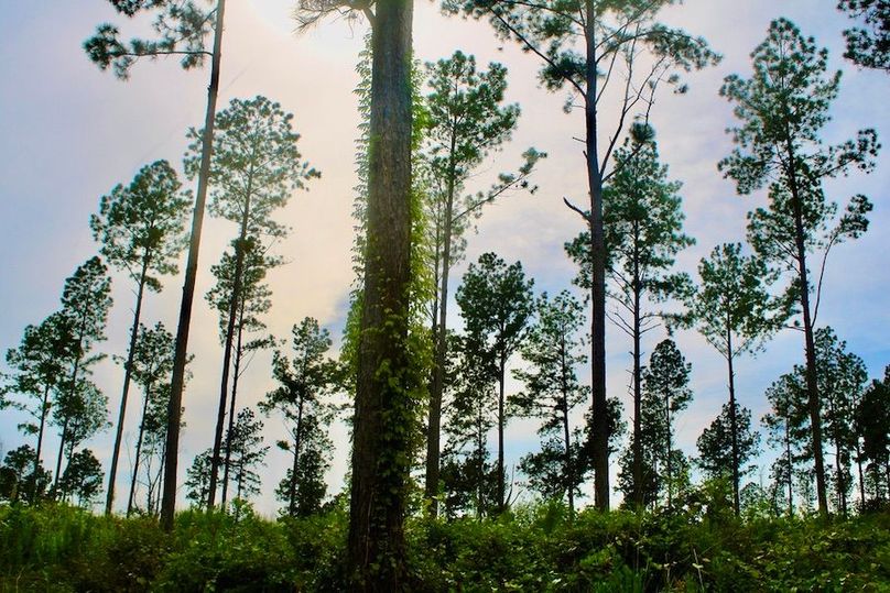 9376C771-A9CF-4BF2-8B21-F11A08501954_1_105_c